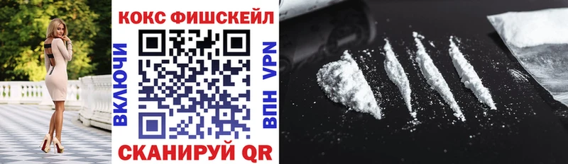Купить закладки  Сухой Лог  КОКАИН Fish Scale 