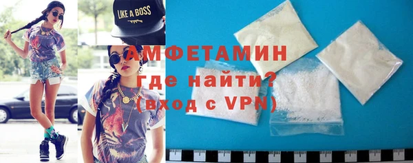 индика Ельня