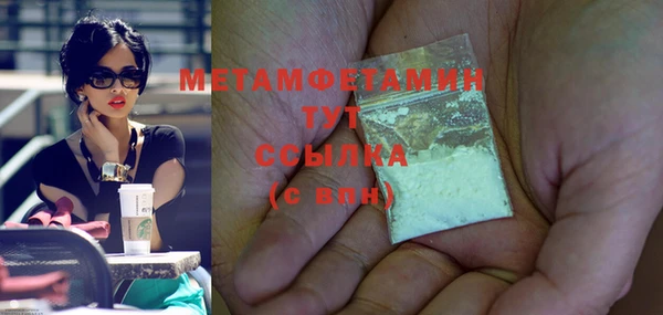 индика Ельня