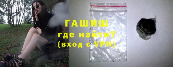 индика Ельня