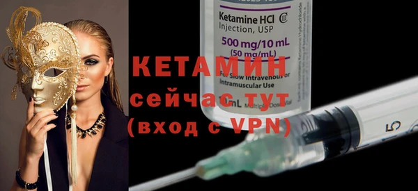 индика Ельня
