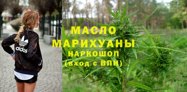 индика Ельня