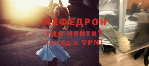 индика Ельня
