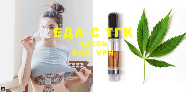 индика Ельня
