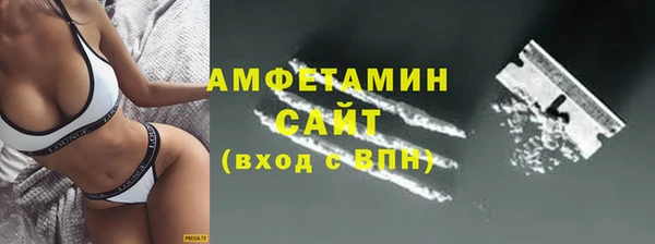 индика Ельня