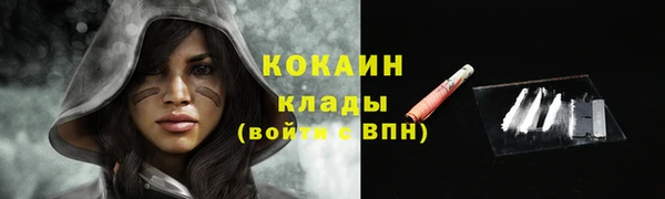 индика Ельня