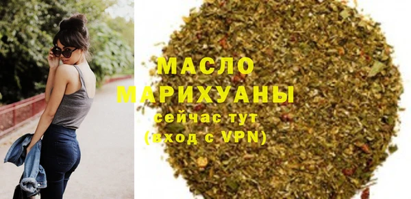 индика Ельня