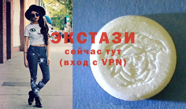 индика Ельня