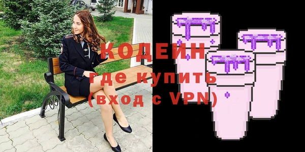 индика Ельня