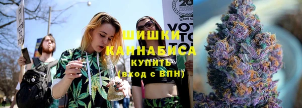 индика Ельня