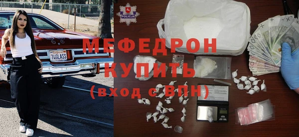 индика Ельня
