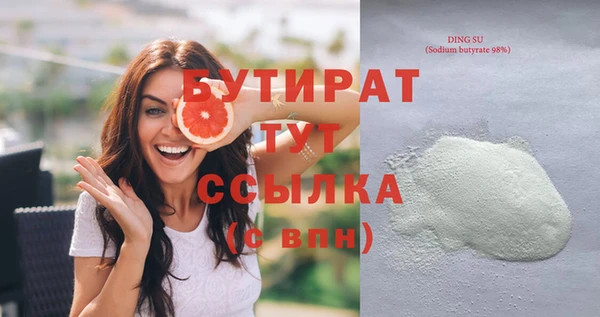 индика Ельня