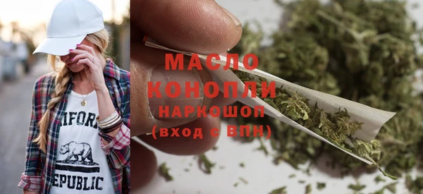 индика Ельня